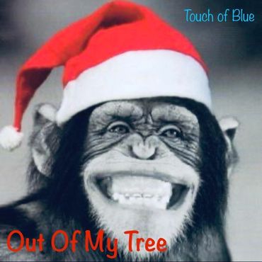 New Christmas 2024 single, Out Of My Tree by Touch of Blue