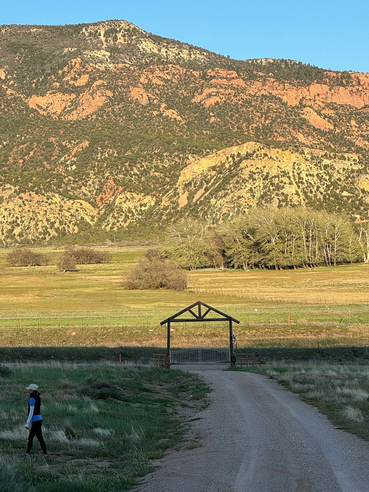 Improved road straight to Treehouse