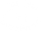 Wide Open Land Surveying