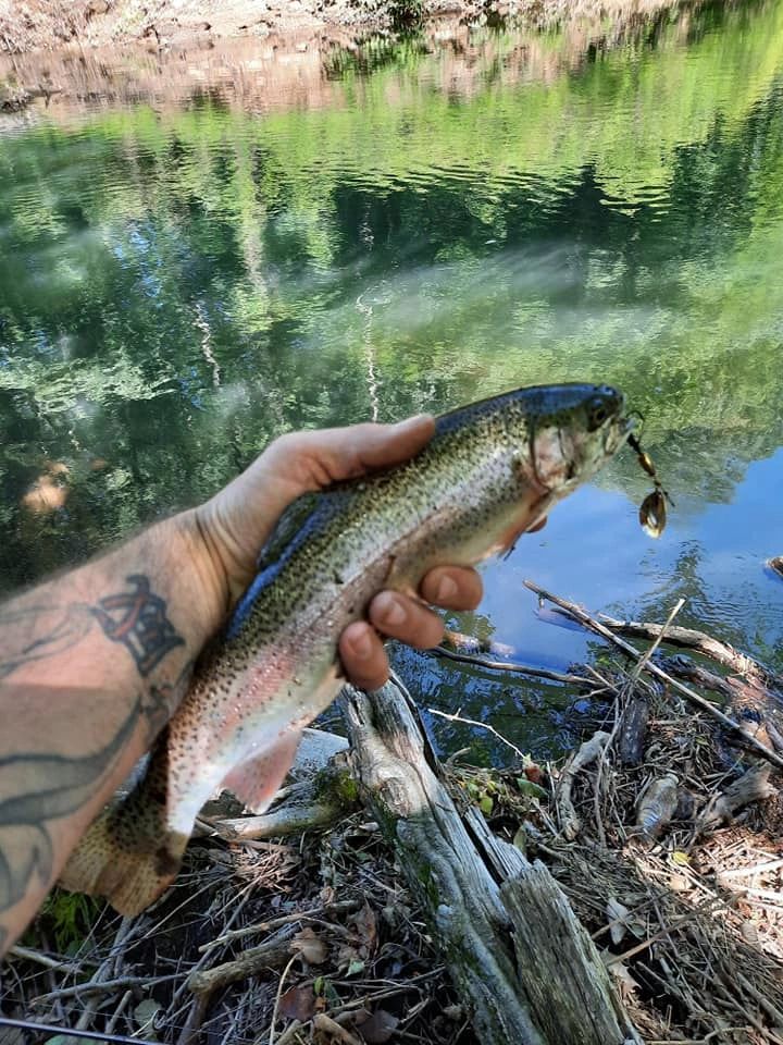 Best Line for Trout Spinning Rods