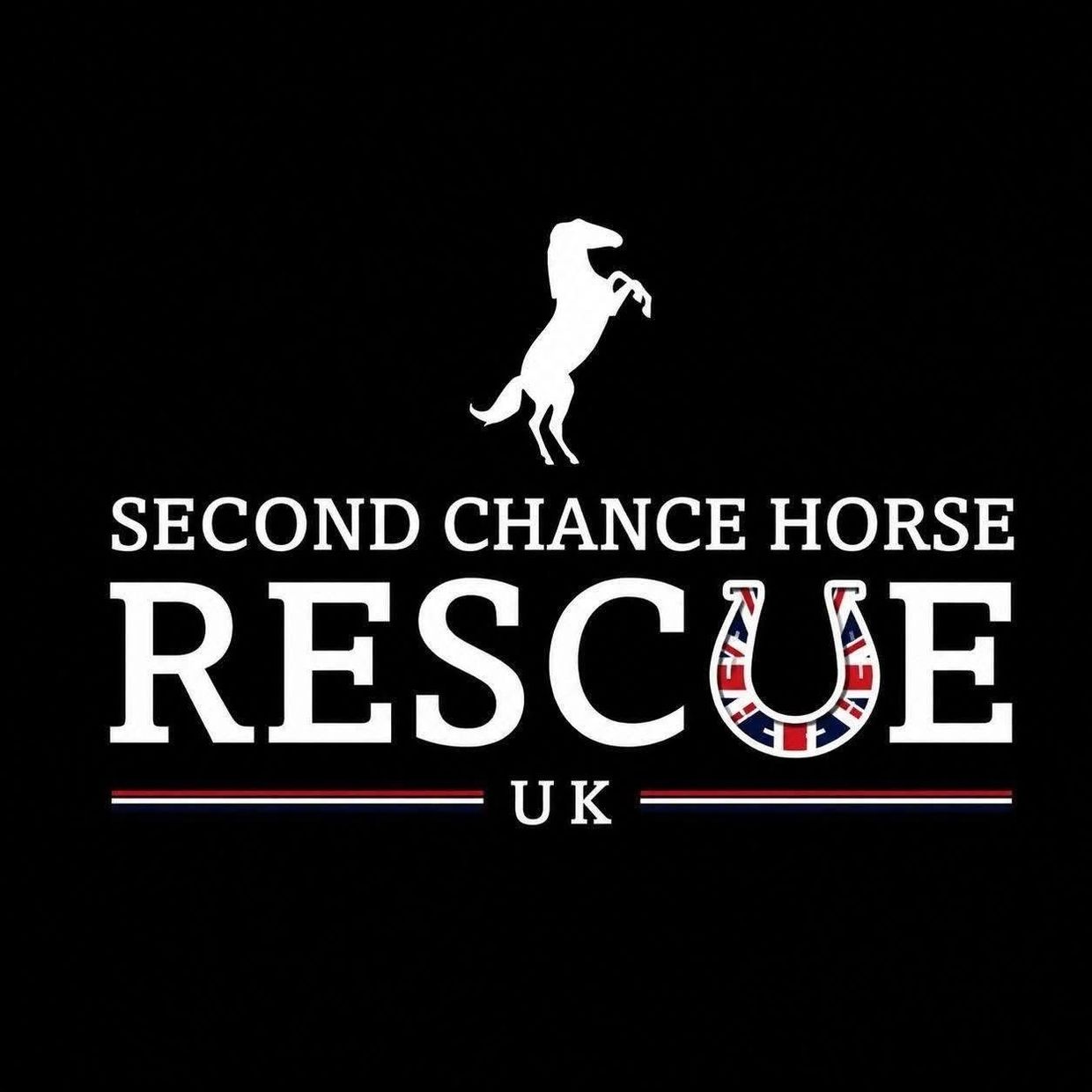 Logo for Second Chance Horse Rescue UK with a rearing horse and Union Jack horseshoe.