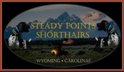 Steady Points Shorthairs, LLC