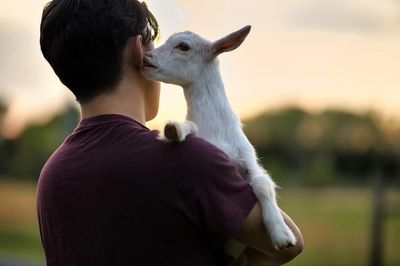 Teen boy holding a baby nigerian dwarf goat