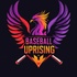 Baseball Uprising