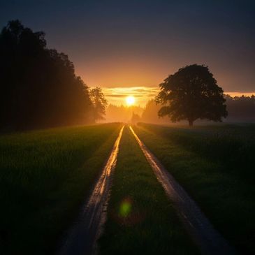 Sunset over a rural dirt road with trees and mist.