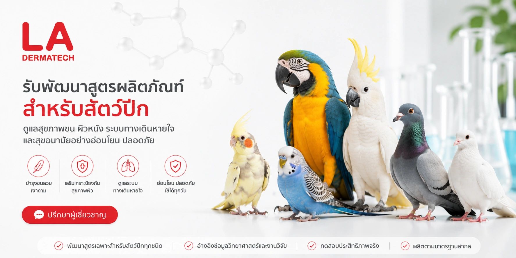 บริการพัฒนาสูตรผลิตภัณฑ์สำหรับสัตว์ปีก ดูแลสุขภาพและความปลอดภัย