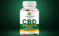 Catalina Farms CBD Gummies