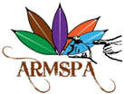 Armspa Wellness