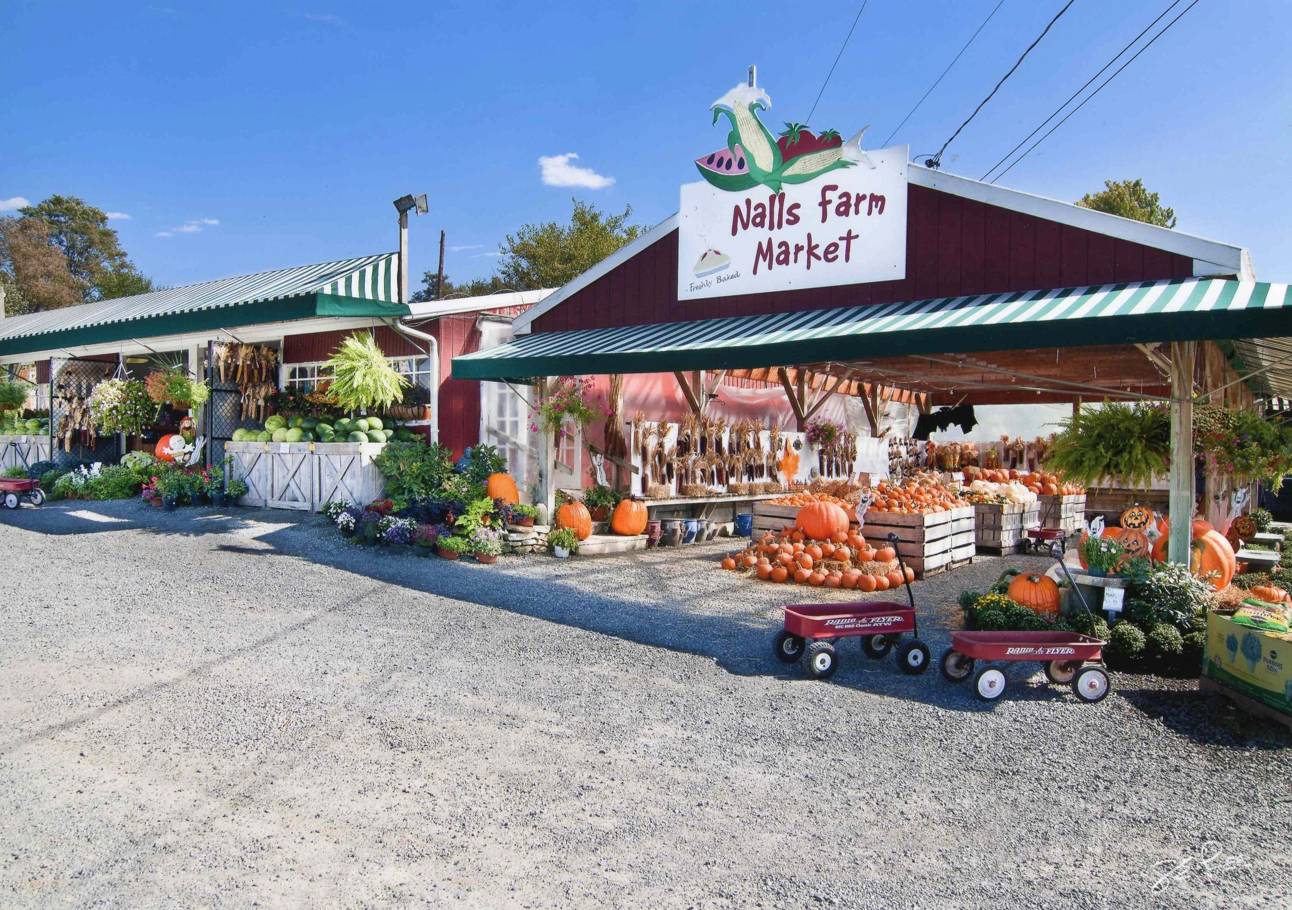 Nalls Farm Market