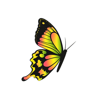 Colorful butterfly with vibrant yellow, green, and pink wings on a black outline.