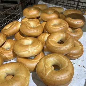 plain bagels 