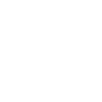 FAF Car Sales