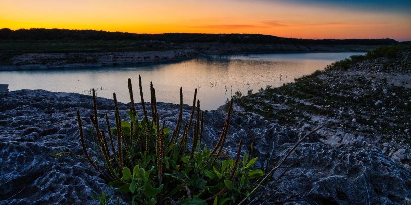 Sunset over a rocky riverbank with silhouetted plants in the foreground.