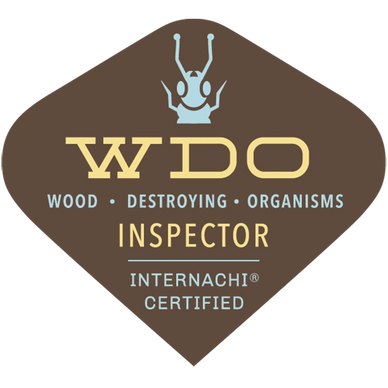 Norman Oklahoma termite inspector
