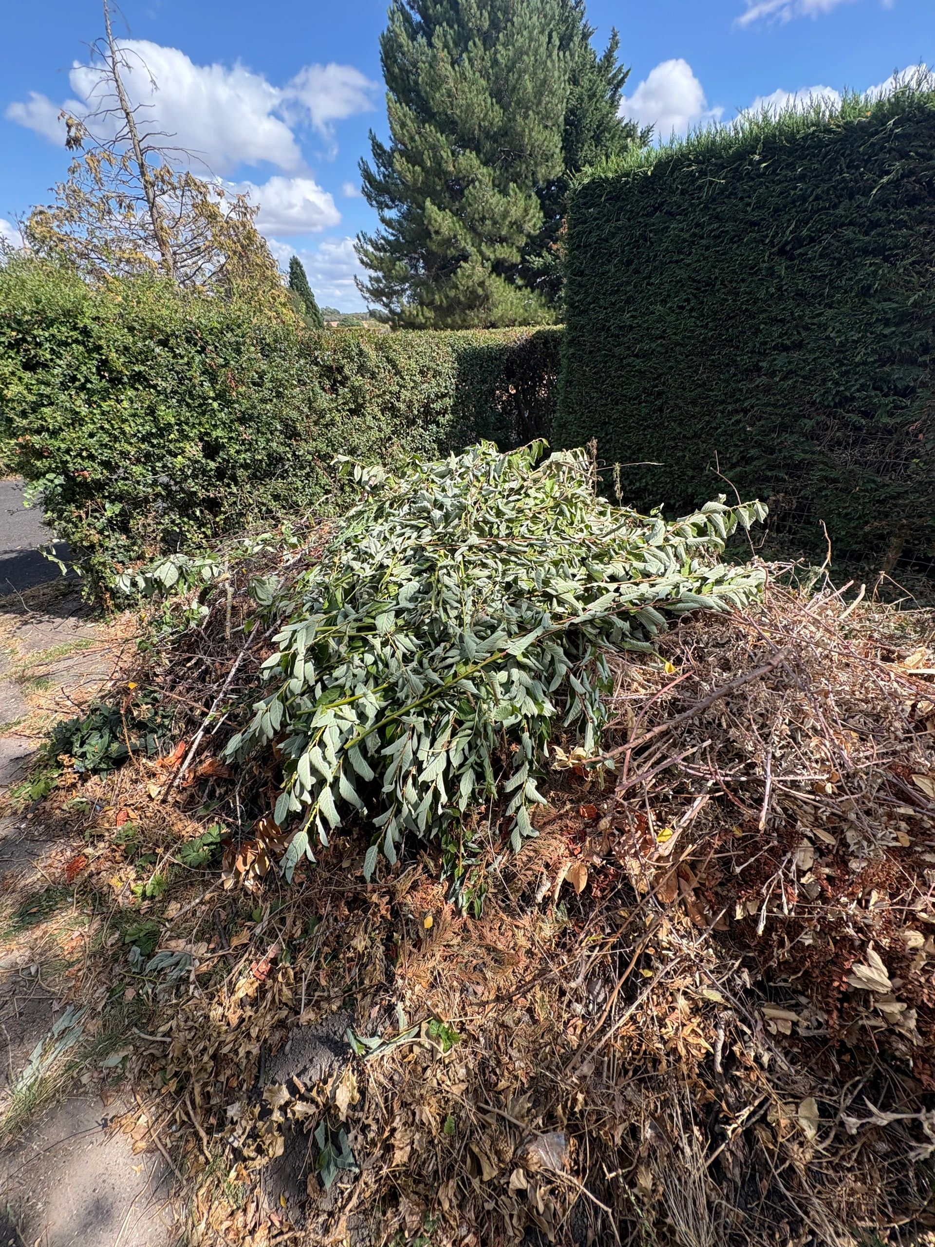 Brash Waste Removal in Inkberrow