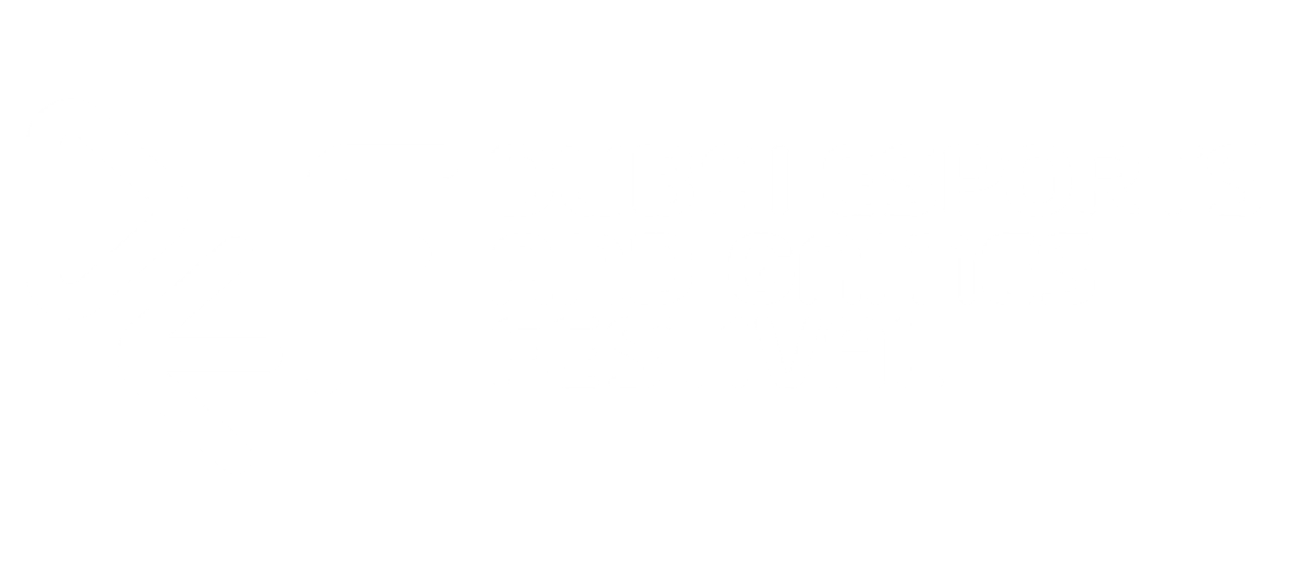 Logo of Dubai Esports and Games Festival in white on a black background.