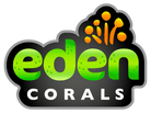 Eden Corals