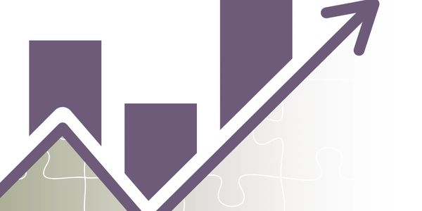 Revenue Growth 