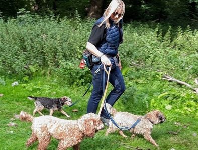 Helen  looking happy walking 3 dogs together