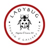Ladybug Glass Gallery