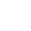 SNW Consulting
