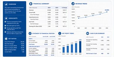 Financial overview showing revenue and profit trends from 2020 to 2023.