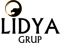 lidyainsaat.com
