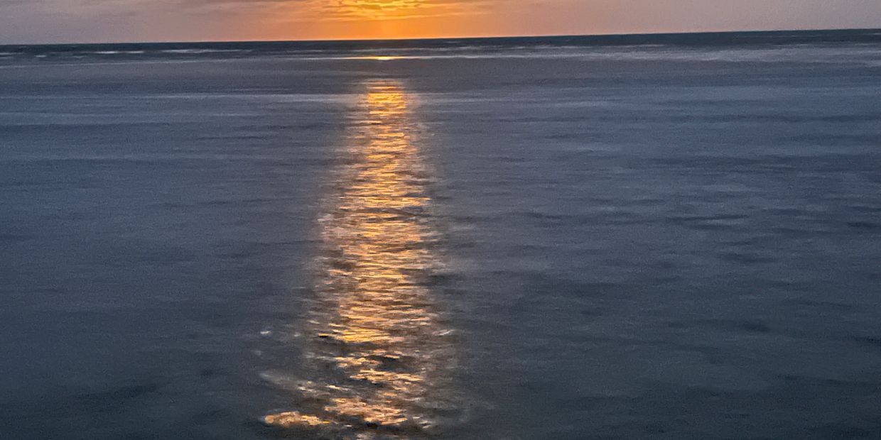 siesta key sunset cruise