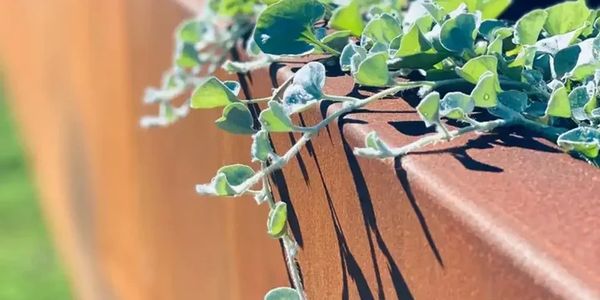 Steel Landscape Edging Planter Box