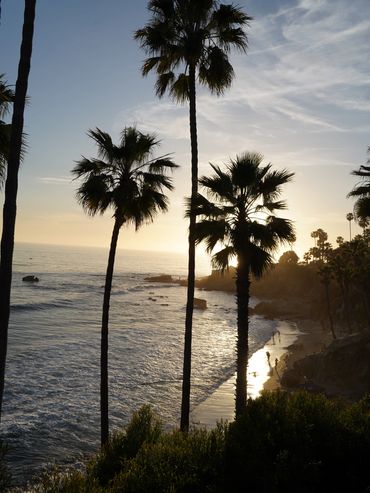 Sunset over a beach with tall palm trees and gentle waves.