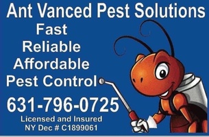 Ant vanced pest solutions llc