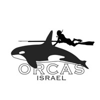 Orcas Israel