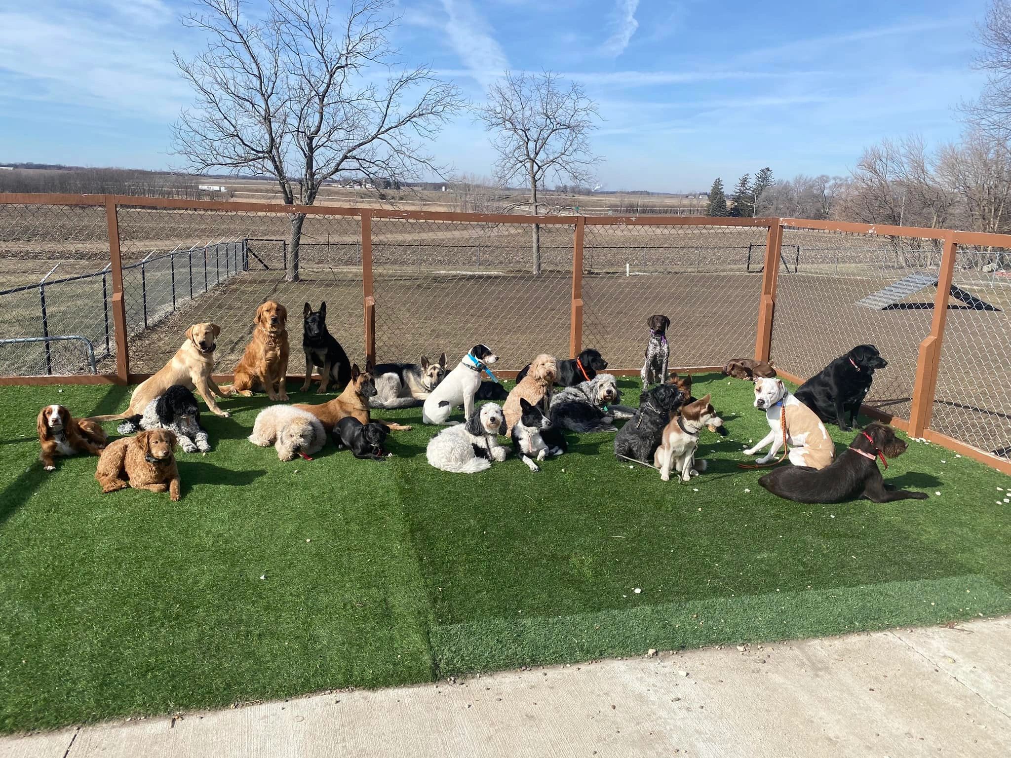 Rock River Pet Resort - Image 1
