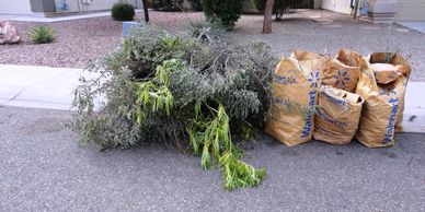 Yard waste, tree brush and bags