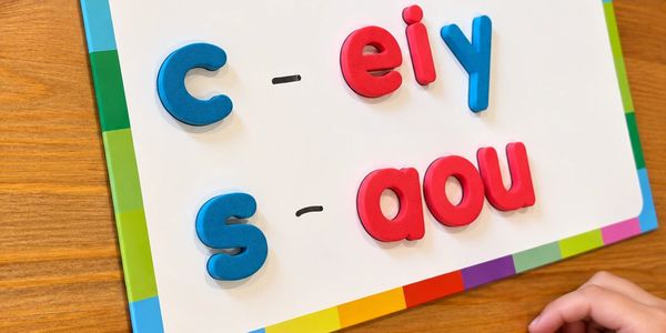 spelling patterns, spelling rules, vowels, consonants