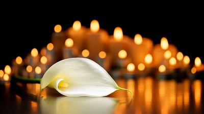 A white calla lily with lit candles blurred in background.