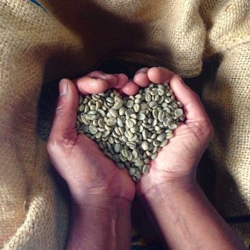 Two hands cupping green beans in the shape of a heart