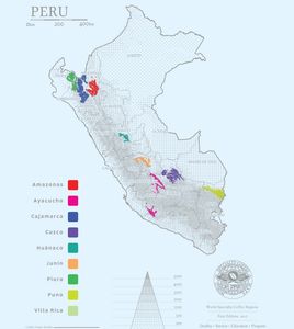 Peru, Pervian, map, altitude, region, coffee map, Las Pirias, Chirinos, Cajamarca
Farm, Los Pinos, Coffee Producer, speciality coffee, coffee