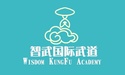 wisdom kungfu academy 