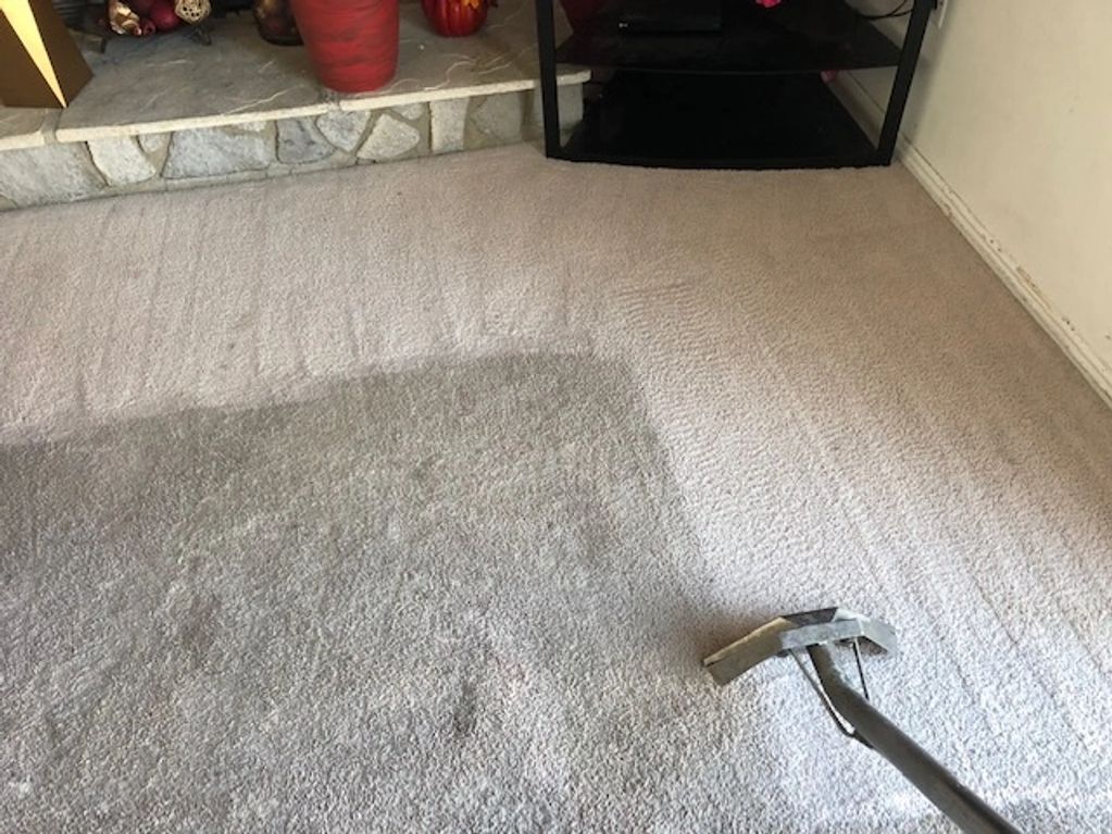 Contact Bountiful Ut S Top Carpet Cleaning Company Today