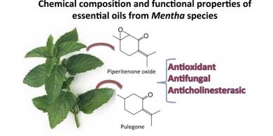 Essential oil compounds