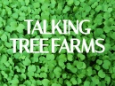 Talking Tree Farms