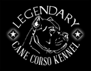 Legendary Cane Corso Kennel