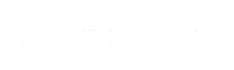 Impulsight