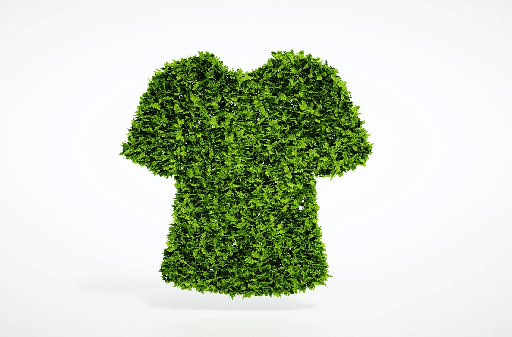 Eco-friendly Clothing, Ethical Fashion