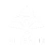 Pluralli Inc