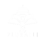 Pluralli Inc