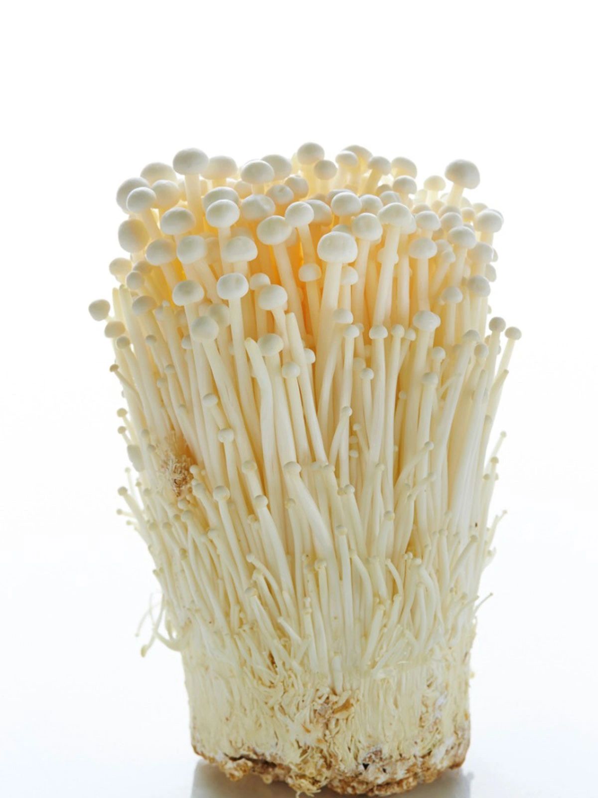enoki mushroom