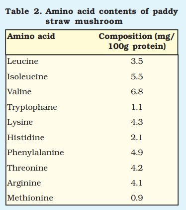 Fact sheet - Paddy straw mushroom (433)