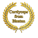 Cordyceps from Bhutan